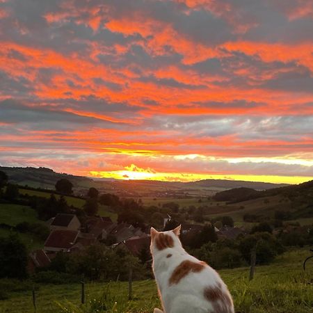 La Petite Maison Dans La Campagne Massingy-les-Vitteaux Экстерьер фото