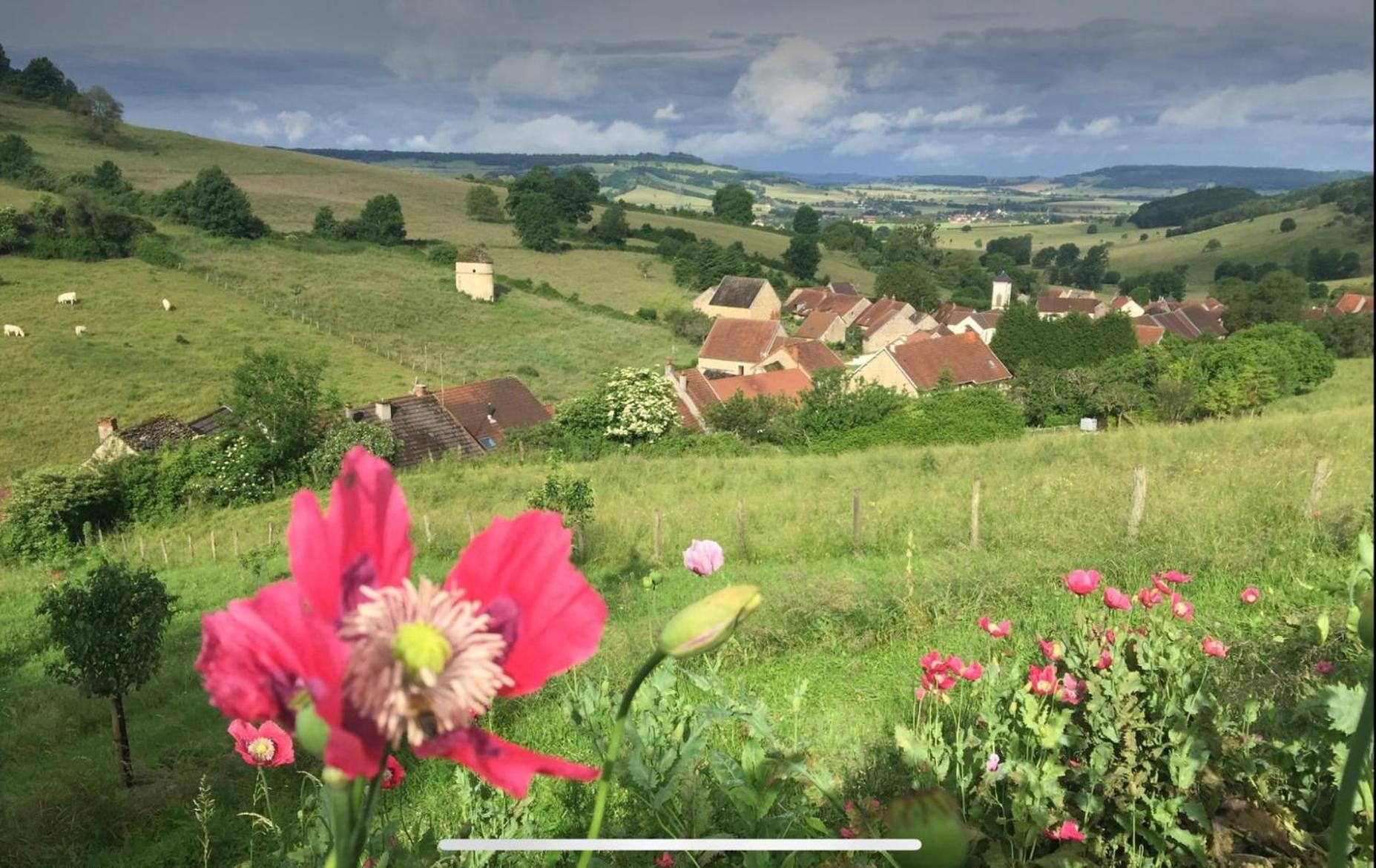 La Petite Maison Dans La Campagne Massingy-les-Vitteaux Экстерьер фото